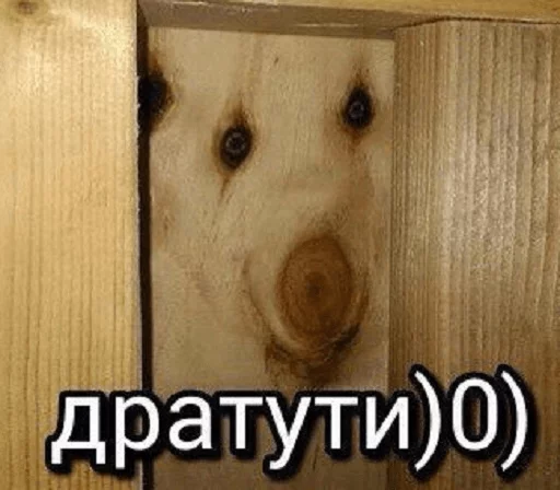 freec2 freec2 - человеческое лицо