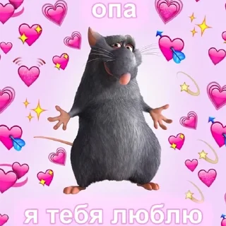 cat cat cartoon pink