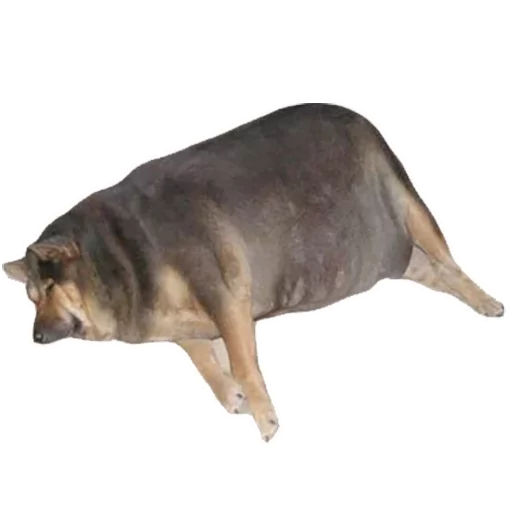 Favorite Sticker by @fStikBot Favorite Sticker by @fStikBot -
