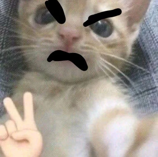 КЛАН КОТИКОВ @sozdat_stikery_bot КЛАН КОТИКОВ @sozdat_stikery_bot -