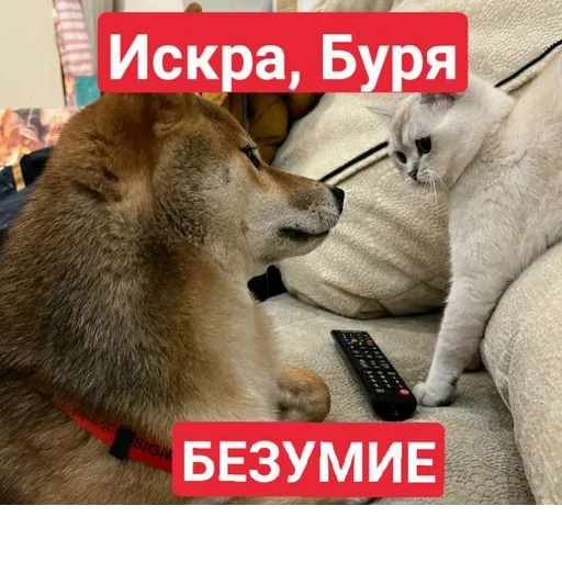 Создано в @StickerEdit_bot Создано в @StickerEdit_bot -