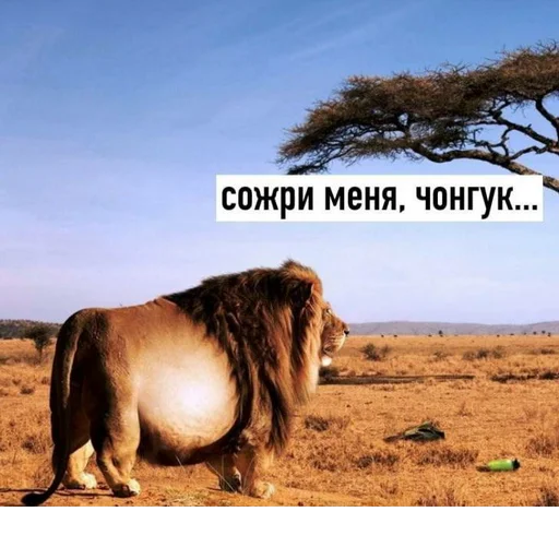 Создано в @StickerEdit_bot Создано в @StickerEdit_bot -