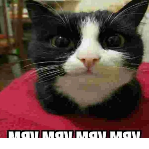 @StickerEdit_bot :: @StickerEdit @StickerEdit_bot :: @StickerEdit -