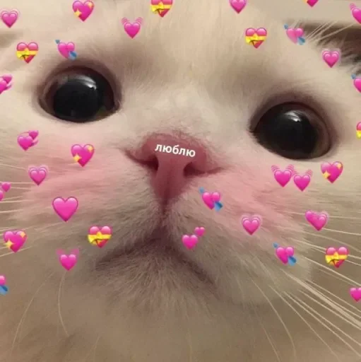 Стикеры тут 👉 @Femoji Стикеры тут 👉 @Femoji -