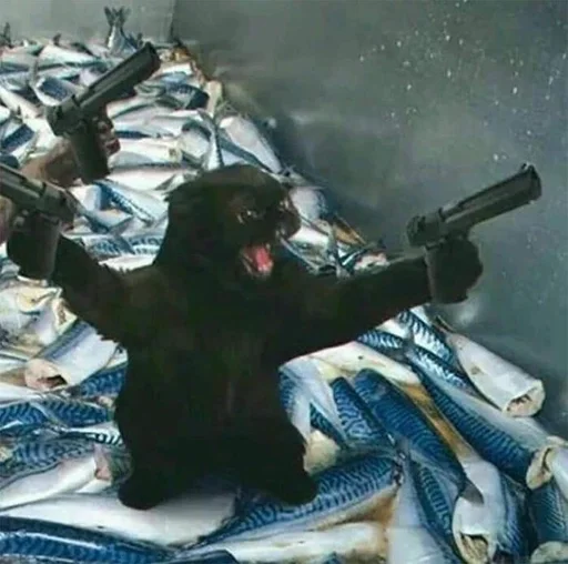 weapon gun rifle