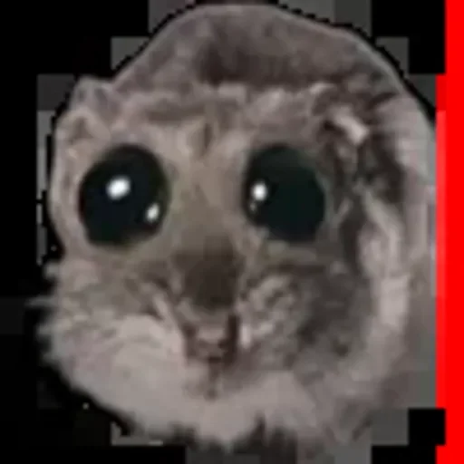 Sad hamster @TgEmojiBot Sad hamster @TgEmojiBot -