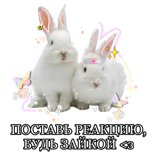 @sadness_tyan 🐰 for u channel @sadness_tyan 🐰 for u channel -