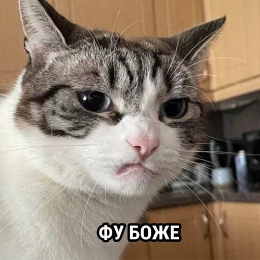 Салатник vol.1 Салатник vol.1 -