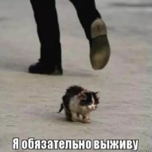 text text ground footwear