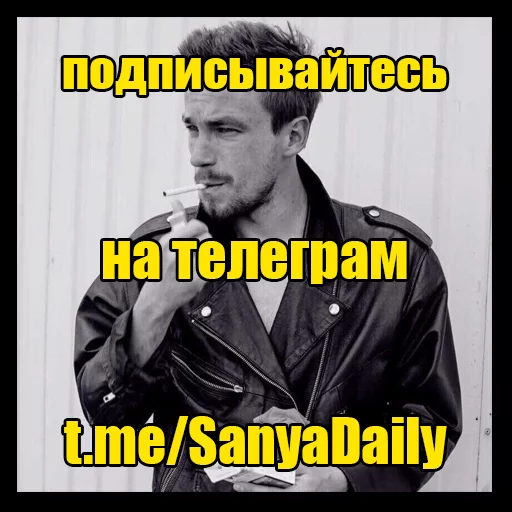 sanchespack sanchespack -