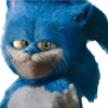 Damaged Sanic by @scaledjpg Damaged Sanic by @scaledjpg -