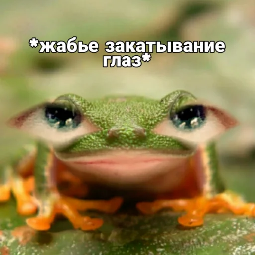 Сань Лан для алкашей Сань Лан для алкашей -