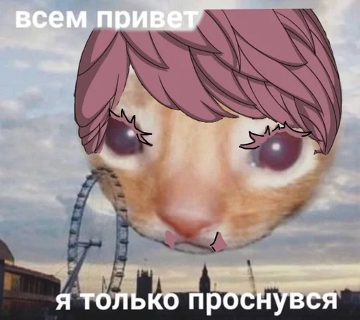 санзик :: @fStikBot санзик :: @fStikBot - человеческое лицо