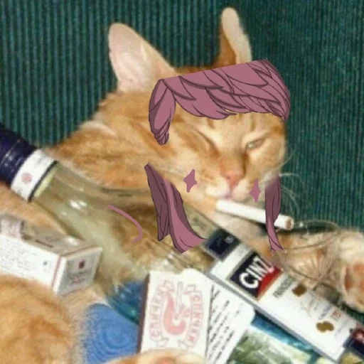 animal animal bottle mammal