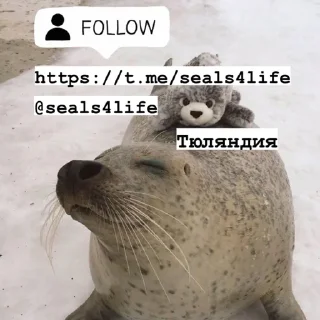 Стикер seals4life - 0