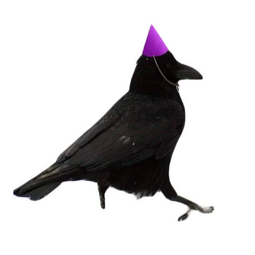 Sticker crows - 0