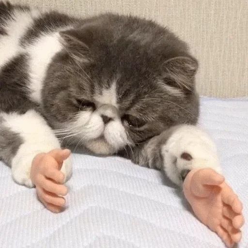 отправь меня нахуй by @fStikBot отправь меня нахуй by @fStikBot -