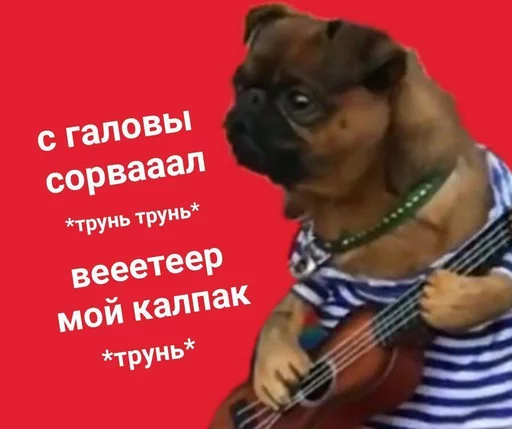 SenkenDAWG SenkenDAWG -
