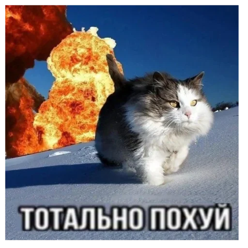 Больше стиков тут: @stikery4 Больше стиков тут: @stikery4 -