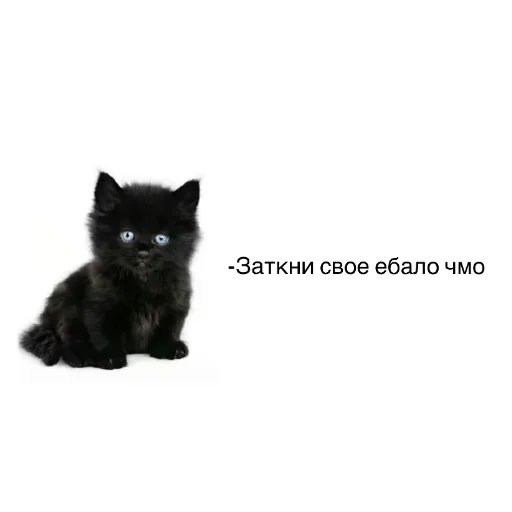 Больше стиков тут: @stikery4 Больше стиков тут: @stikery4 -