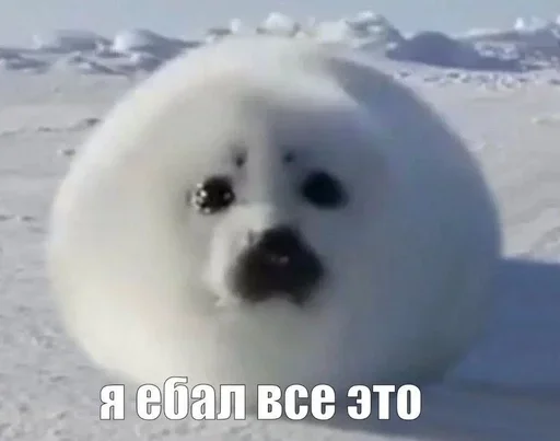 Больше стиков тут: @stikery4 Больше стиков тут: @stikery4 -