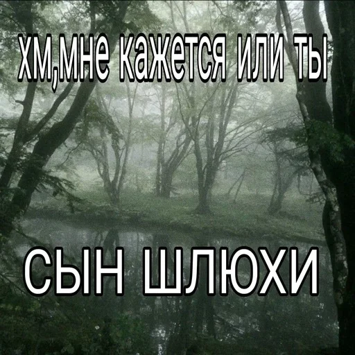 Больше стиков тут: @stikery4 Больше стиков тут: @stikery4 -