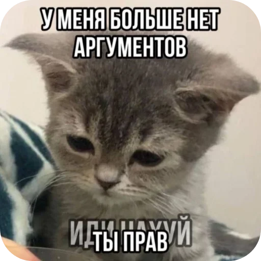 Больше стиков тут: @stikery4 Больше стиков тут: @stikery4 -
