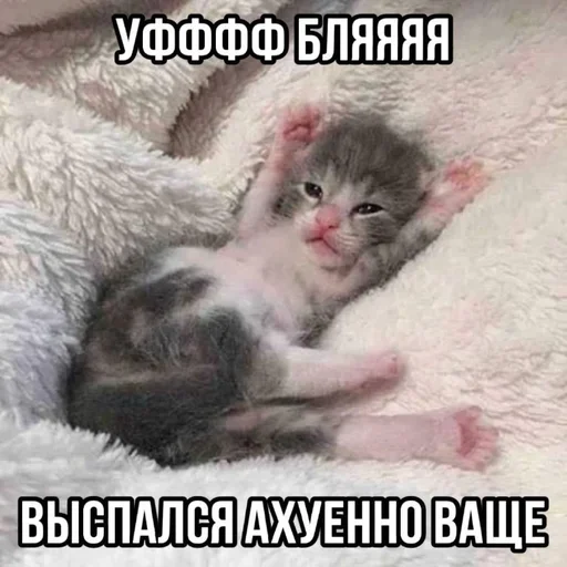 Больше стиков тут: @stikery4 Больше стиков тут: @stikery4 -