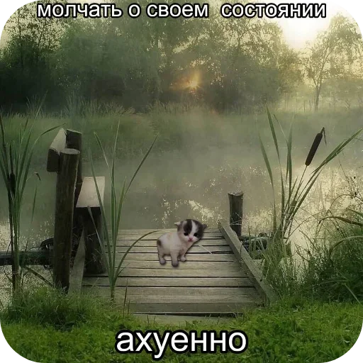 Больше стиков тут: @stikery4 Больше стиков тут: @stikery4 -