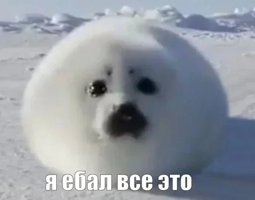 Больше стиков тут: @stikery4 Больше стиков тут: @stikery4 -