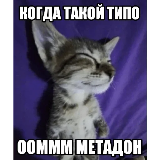 Больше стиков тут: @stikery4 Больше стиков тут: @stikery4 -