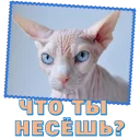 Стикер Сфинкс - 2