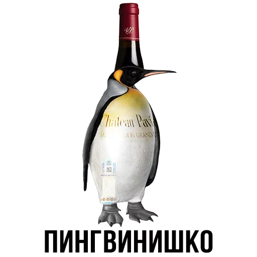 text text drink bottle