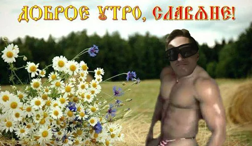 растение растение на открытом воздухе Человек