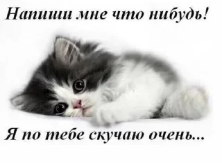 Sticker @sempai21 Милые стикеры - 7
