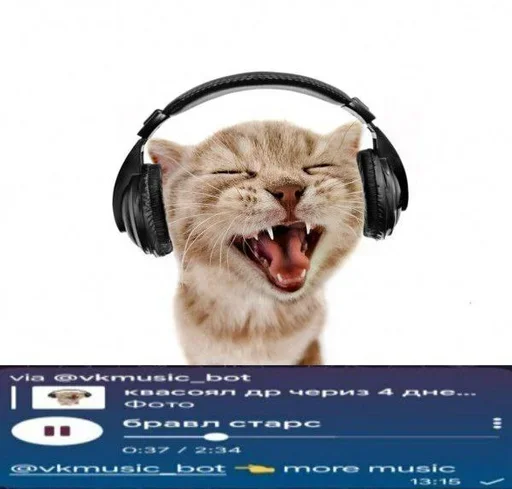 пак от шызи пак от шызи -