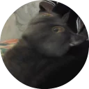shoegaze catz shoegaze catz - animal