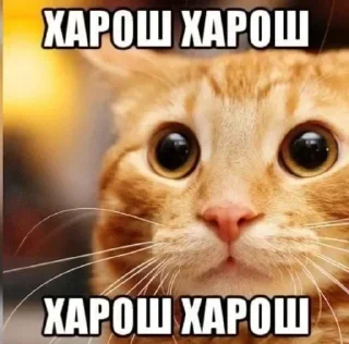Sticker Создано в @sozdsti_bot - 11