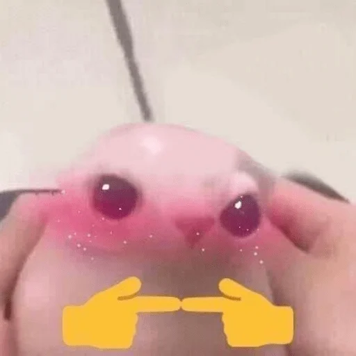 (〃ω〃) (〃ω〃) -