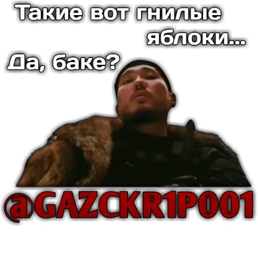 SKRIPYBRO SKRIPYBRO -