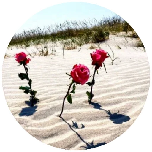 @DoQusTiefsinn @DoQusTiefsinn -