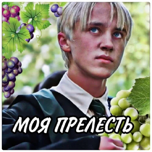 50 оттенков винограда 50 оттенков винограда -