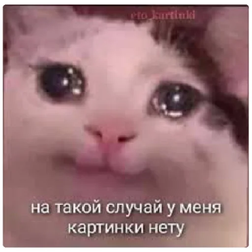 Уиии Уиии -
