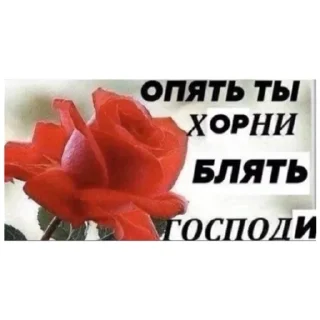 Sticker ебака - 6