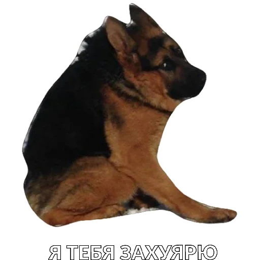 Хуйня Хуйня -