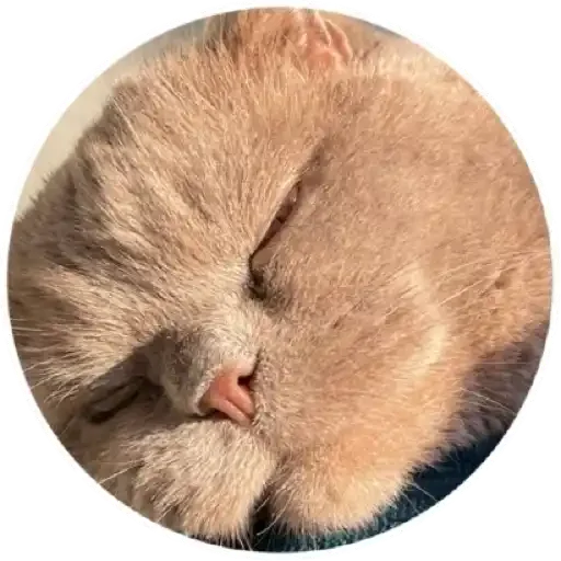Sticker Митя - 6