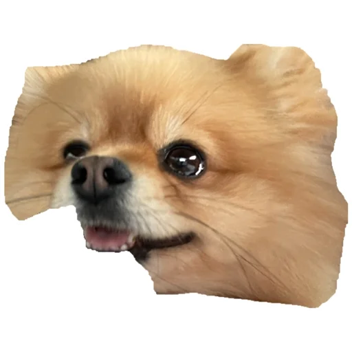 Sticker Митя - 5