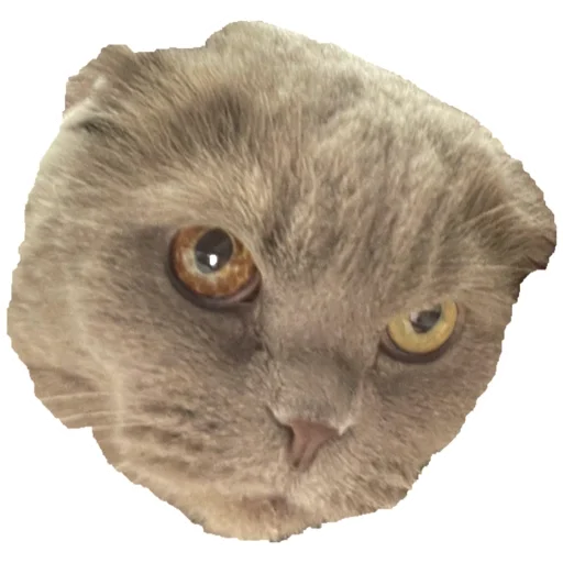 Sticker Митя - 4