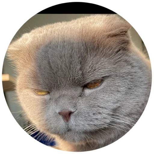 Sticker Митя - 3