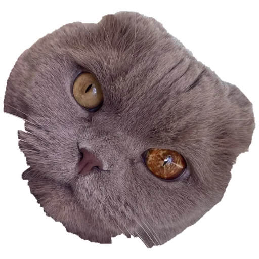 Sticker Митя - 1